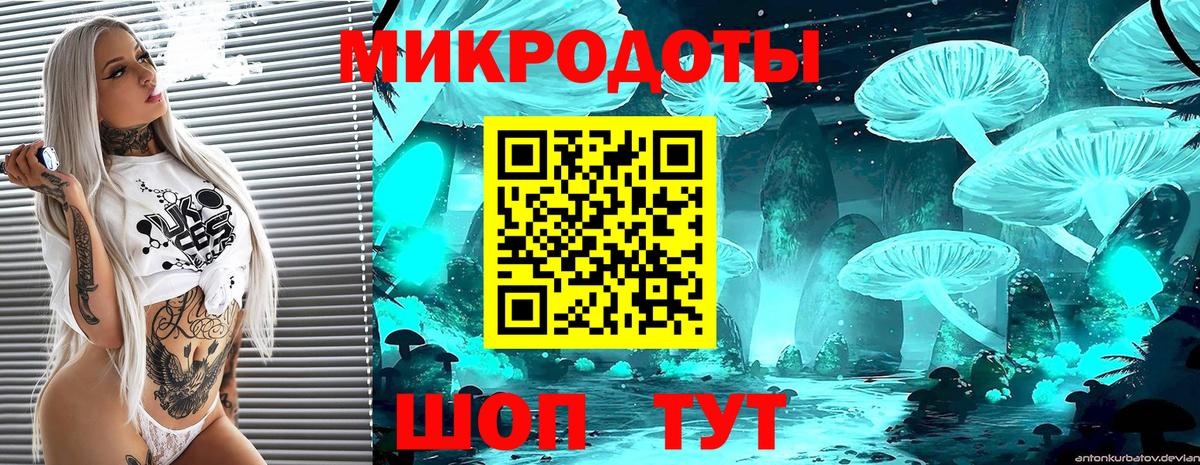 Казань  Псилоцибиновые грибы ЛСД  где купить наркоту  Вход с VPN 